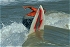 (October 31, 2004) Sunday Surf Shortboard